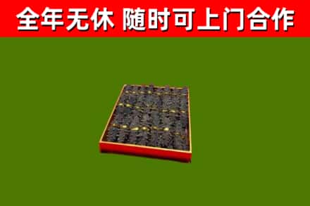 老城区回收海参